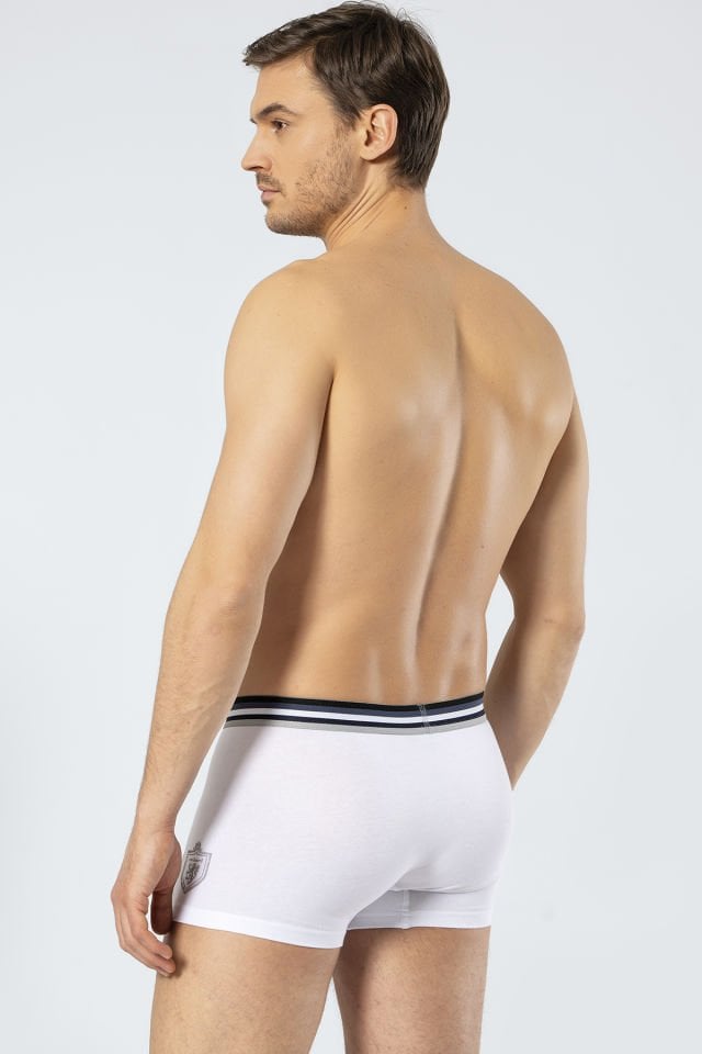 Cacharel Erkek 2'li Baskili Boxer