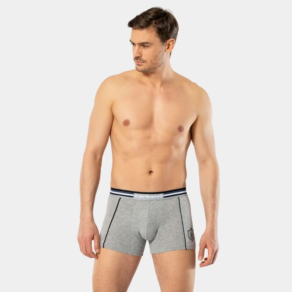 Cacharel Erkek 2\'li Baskılı Boxer