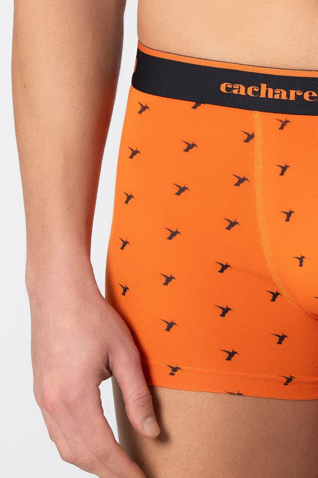 Cacharel Erkek Desenli Likralı Boxer 3'lü Paket