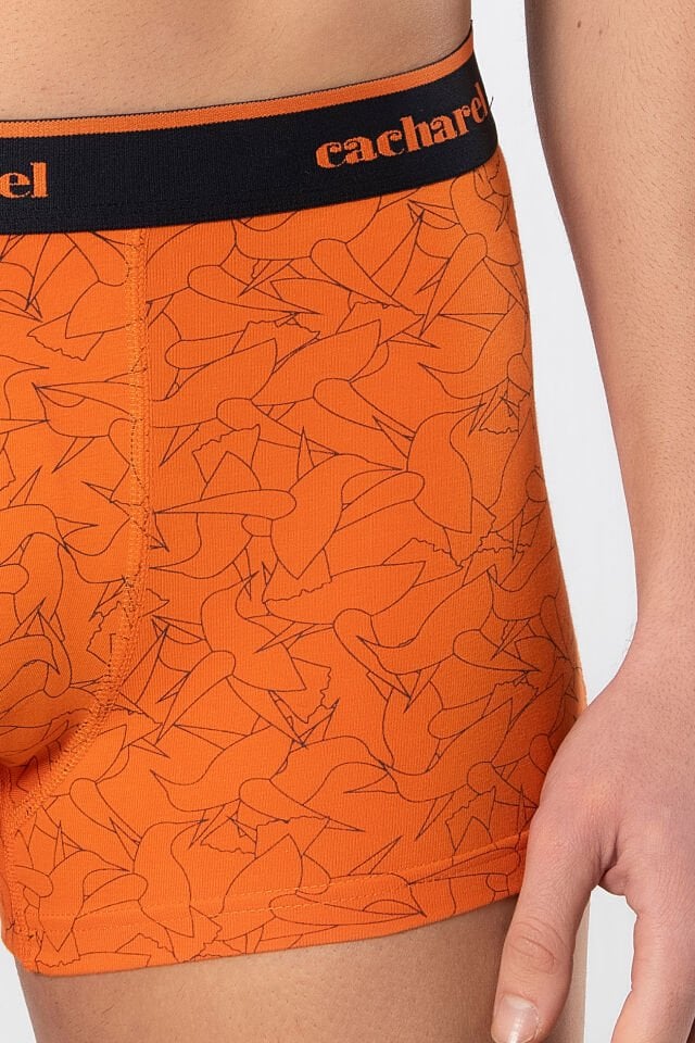 Cacharel Erkek Desenli Likrali Boxer 3'lü Paket
